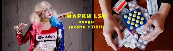 стаф Абинск