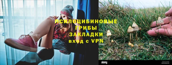 дмт Абдулино