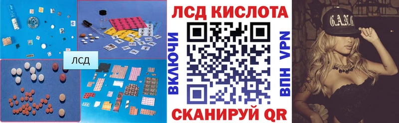 где продают наркотики  Новокубанск  ЛСД экстази ecstasy 